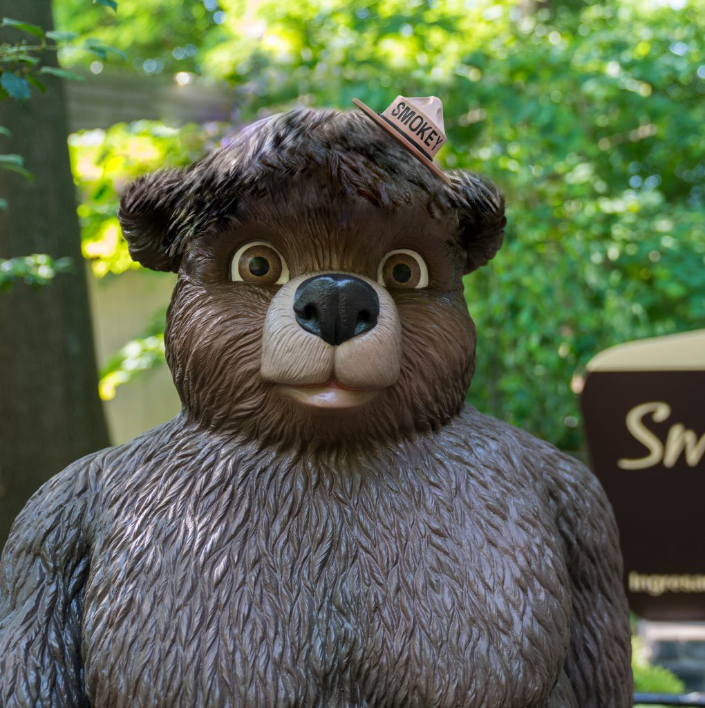 Smokey Bear wearing a tiny version of his iconic hat