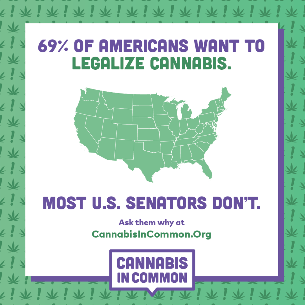 69% OF AMERICANS WANT TO LEGALIZE CANNABIS.
MOST U.S. SENATORS DON'T.
Ask them why at
CannabisInCommon.Org
CANNABIS IN COMMON