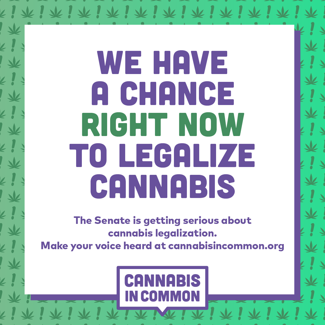 WE HAVE A CHANCE RIGHT NOW TO LEGALIZE CANNABIS The Senate is getting serious about cannabis legalization. Make your voice heard at cannabisincommon.org CANNABIS IN COMMON